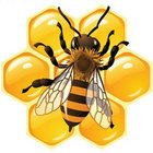 Avantel thumbnail