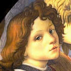 Amadeo thumbnail
