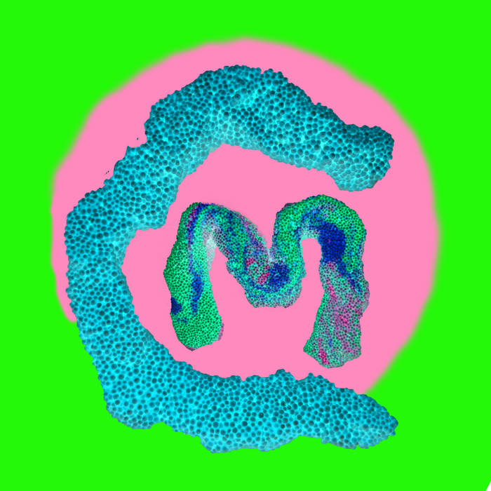 フィグロンドン mute mermaid SK（fig London - フィグロンドン mute  