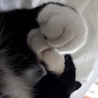 routledgepaul thumbnail
