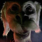 Edward Standish thumbnail