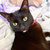Ellie_Luna thumbnail