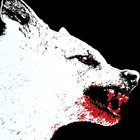 black_dog thumbnail