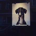 Piero Orsini thumbnail