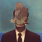 owlthewall thumbnail