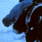 h-------v thumbnail