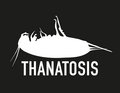 thanatosis image