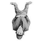 gergmcgervey thumbnail