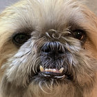 sure1 thumbnail