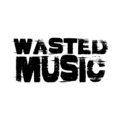 Wasted Music image