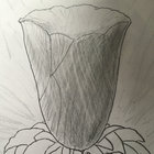 Evan Balistrieri thumbnail