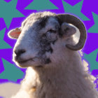 eclecticsheep thumbnail
