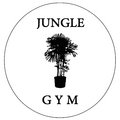 JUNGLE GYM RECORDS image