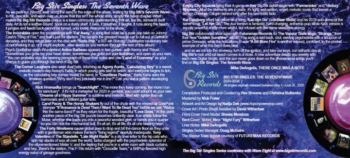 Big Stir Singles: The Seventh Wave | Various Artists | Big Stir
