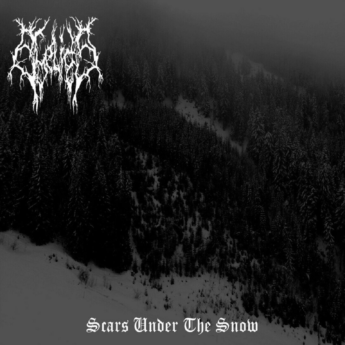 Scars Under The Snow | Eyelids