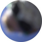 Andrew Sullivan thumbnail