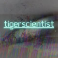 tigerscientist image