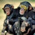 kuba_mad-monkey thumbnail
