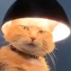Pablo Chundy thumbnail