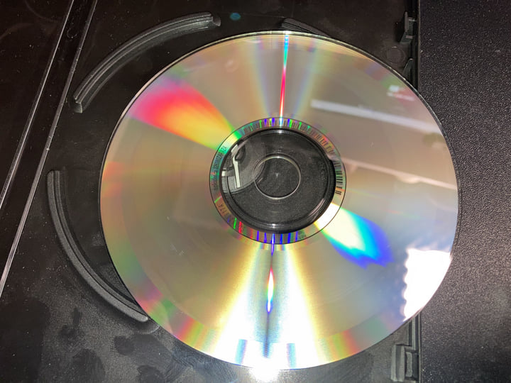 No Paradise to Lose | Zaraza