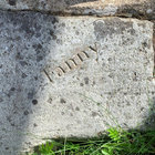 westy303 thumbnail