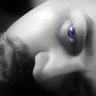 mark-leon thumbnail