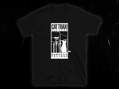 CAT TRAX! Kittens (2020 Remix) main photo