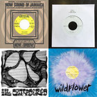 Derrick Harriott - The Loser / Derrick Harriott, Bobby Ellis