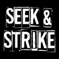 Seek & Strike image