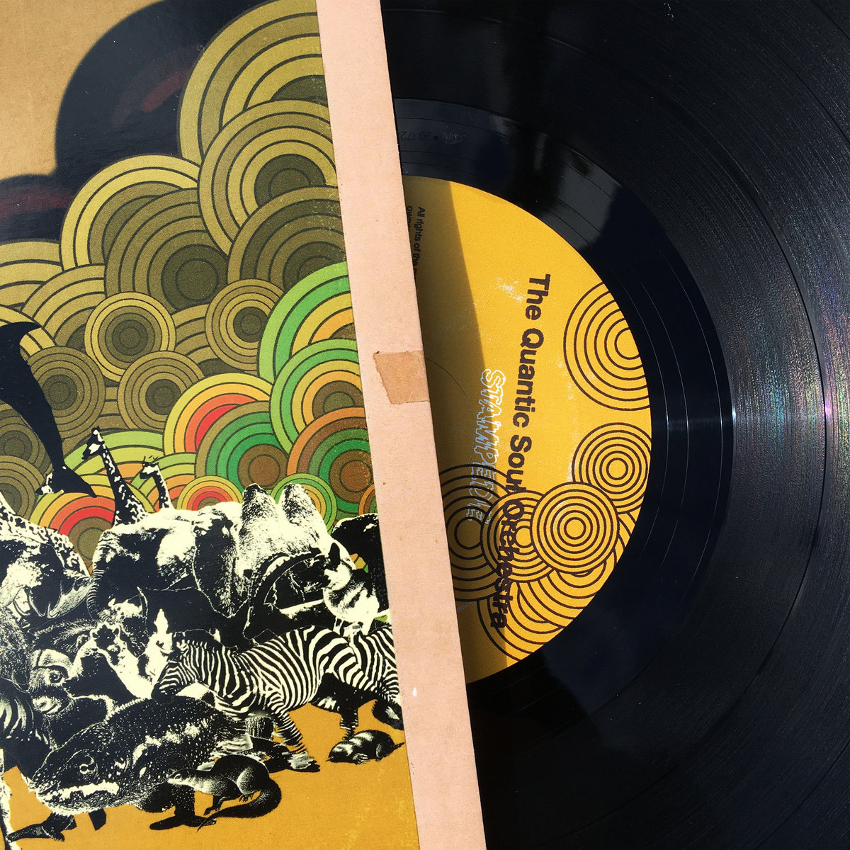 The Quantic Soul Orchestra ‎– Assassin‼️ The Quantic Soul Orchestra – Assassin – Vinyl (7