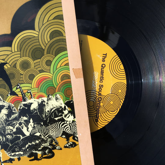 The Quantic Soul Orchestra ‎– Assassin‼️ The Quantic Soul Orchestra - Assassin - YouTube