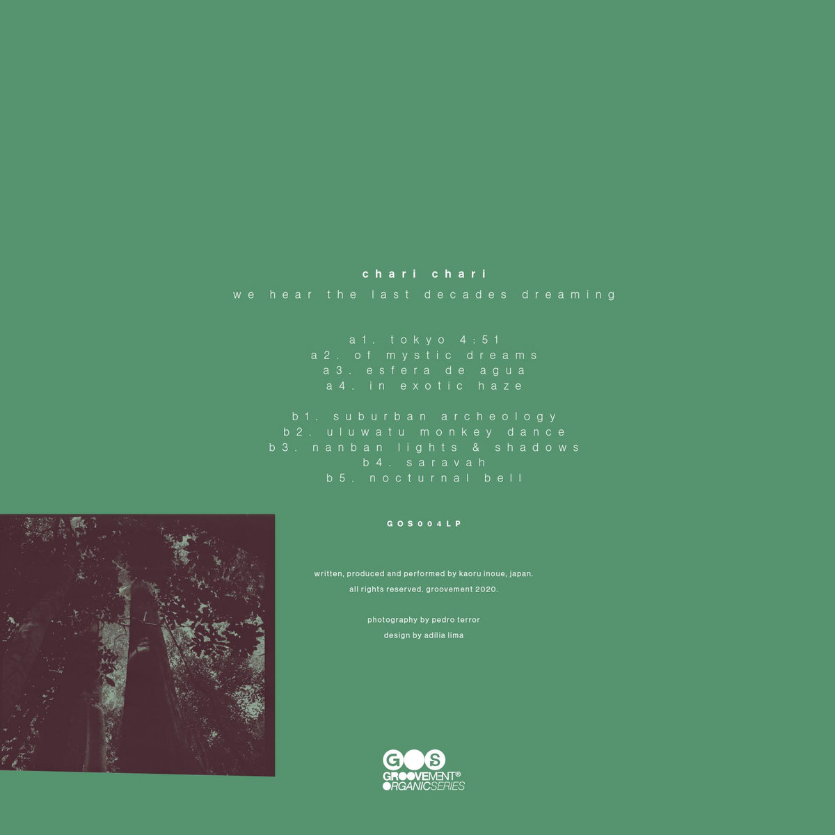 Chari Chari /We hear the last decades LP 【公式通販】