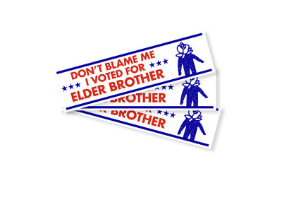I Voted For Elder Brother Sticker 3 PACK main photo