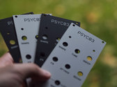 PSYC03 (panel and pcb) photo 