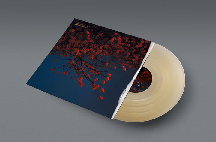 Nature Morte | Joni Void + N NAO | laaps
