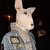 thevelvetunderdog thumbnail