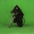 Bandcamp profile picture for @visually
