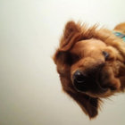 thisisbeans thumbnail