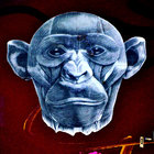 StachMou thumbnail