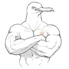 abuffseagull thumbnail