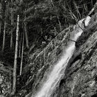 ejfry thumbnail