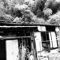Music | 越子草Tall Grass Records