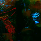 blurble thumbnail