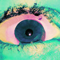 Finky — Photo