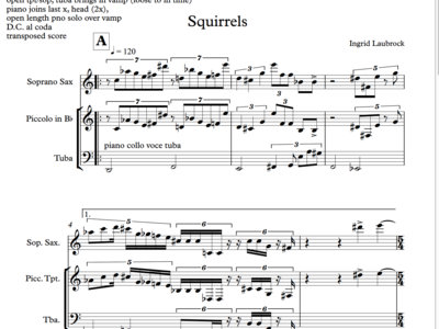 Full score and parts to 'Squirrels' by Ingrid Laubrock main photo