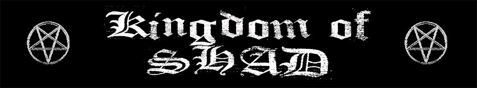 A Lost Forgotten Sad Spirit Single Kingdom Of Shad kingdom of shad bandcamp