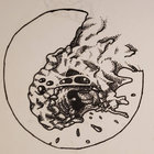 Taylor Seibert thumbnail