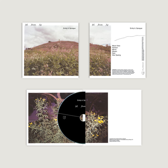 Hill, Flower, Fog | Emily A. Sprague