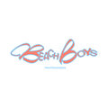 Beach Boys image