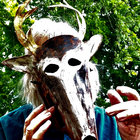 Norman Lowrey thumbnail